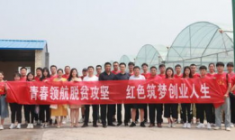 潍坊科技学院吃瓜事件爆料,揭秘校园内幕风波